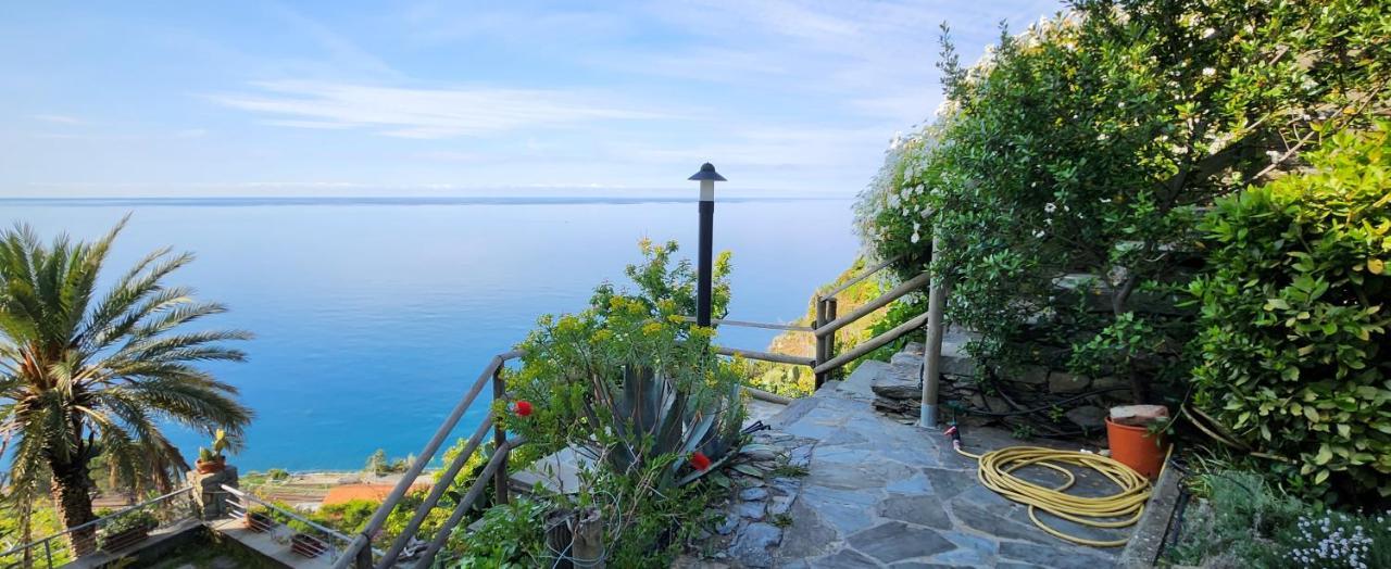 New Hanging Garden Corniglia Εξωτερικό φωτογραφία