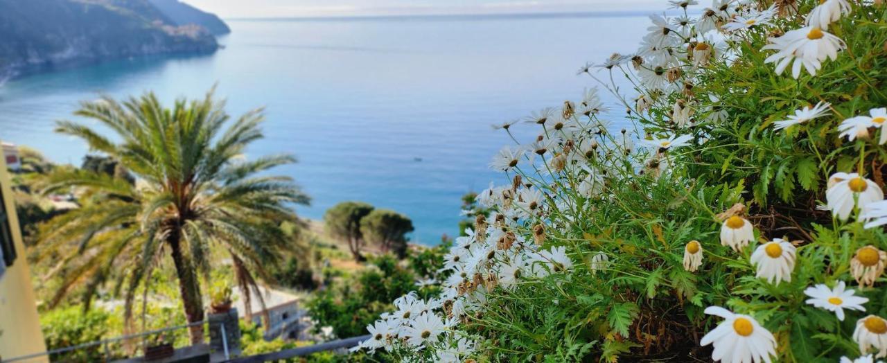 New Hanging Garden Corniglia Εξωτερικό φωτογραφία