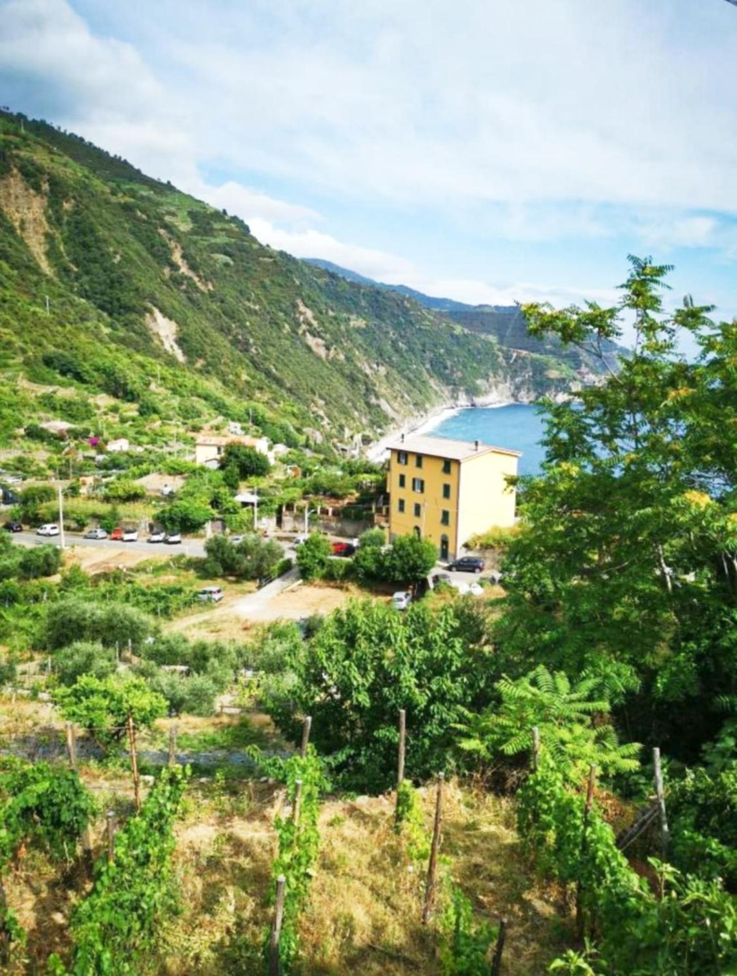 New Hanging Garden Corniglia Εξωτερικό φωτογραφία